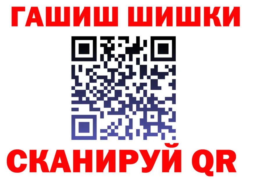 ГАШ Изолятор вход маркетплейс MEGA Бородино